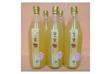【金の蜜】アグリスタくましろのシナノスイートジュース6本セット(1L×6本) 長野県 信州 南信州 高森町 りんご りんごジュース