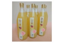 【金の蜜】アグリスタくましろのサンふじジュース6本セット(1L×6本) 長野県 信州 南信州 高森町 りんご りんごジュース
