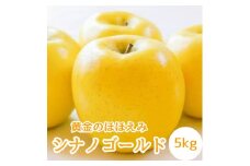 【南信州高森産】黄金のほほえみシナノゴールド5kg 秀 10月下旬発送 長野県 信州 農家直送 果物 くだもの 旬のりんご 萩山農園 