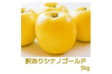 【南信州高森産】【訳あり】シナノゴールド5kg 10月下旬発送 長野県 信州 農家直送 果物 くだもの 旬のりんご ご家庭用 萩山農園
