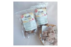 【市田柿専門店 金の柿】市田柿 自家用250g×2袋（500g） 2025年1月発送開始 長野県 信州 南信州 高森町 柿 干し柿 かき 高級 和菓子 お茶請け ご家庭用 ドライフルーツ 自然食品 アグリスタくましろ