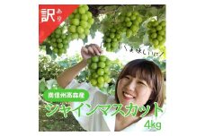 シャインマスカット訳あり4kg 9月下旬より順次発送 長野県 信州 南信州 高森町 農家直送 果物 くだもの ぶどう 旬のぶどう ご家庭用 ともの谷農園