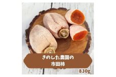 きのした農園の市田柿830g 2024年12月中旬より発送 長野県 信州 南信州 高森町 柿 干し柿 かき 高級 和菓子 お茶請け ドライフルーツ 自然食品 きのした農園