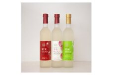 りんごワイン3本セット 王林＆ふじ＆紅玉 長野県 信州 南信州 高森町 リンゴ お酒 アルコール フルーツワイン 信州まし野ワイン