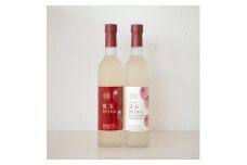 りんごワイン2本セット ふじ＆紅玉 長野県 信州 南信州 高森町 リンゴ お酒 アルコール フルーツワイン 信州まし野ワイン