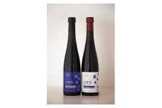 山葡萄ワイン 2種セット（500ml×2本） 長野県 信州 南信州 高森町 ぶどう 山ブドウ 山ぶどう やまぶどう お酒 アルコール 信州まし野ワイン