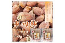 【数量限定】市田柿 2Lサイズ 500g×2袋 2025年1月発送開始 長野県 信州 南信州 高森町 柿 干し柿 かき 高級 和菓子 お茶請け ドライフルーツ 自然食品 山吹ふぁーむ牛田