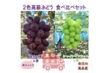 【数量限定】2色高級ぶどう(シャインマスカット、富士の輝)食べ比べセット 長野県 信州 南信州 高森町 農家直送 果物 くだもの ぶどう 旬のぶどう ぶどうセット 鶴屋農園