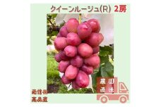 【数量限定】長野県生まれの品種クイーンルージュ(R) 2房 信州 南信州 高森町 農家直送 果物 くだもの ぶどう 旬のぶどう 鶴屋農園