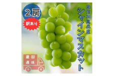 【南信州高森産】訳ありシャインマスカット 2房 長野県 信州 農家直送 果物 くだもの ぶどう 旬のぶどう ご家庭用 鶴屋農園
