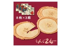 りんご乙女 8枚×3箱 長野県 信州 南信州 高森町 上品 りんごの香り 食べやすい おやつ お菓子 スイーツ フードロス 摘果りんご 食品ロス削減 持続可能な地域づくり 株式会社マツザワ