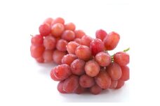 【産地厳選!】長野県産・クイーンルージュ（約2kg）秀品 10月中旬より発送 信州 南信州 高森町 産地直送 果物 くだもの ぶどう 旬のぶどう 山下屋荘介
