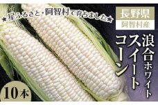 【先行予約】浪合スイートコーン（ホワイト） | 野菜 とうもろこし トウモロコシ コーン 信州 長野