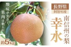 【先行予約】＜8月下旬頃配送＞南信州阿智村　梨【幸水】｜果物 フルーツ 期間限定 数量限定 5kg 信州 長野
