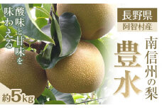 【先行予約】＜9月中旬頃配送＞南信州阿智村　梨【豊水】｜果物 フルーツ 期間限定 数量限定 5kg 信州 長野