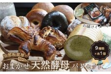 治部坂高原のおまかせ天然酵母パンセット（9種類）｜自家製 手作り 天然素材 クロワッサン ベーグル パン チョコパイ 詰め合わせ 長野県 阿智村