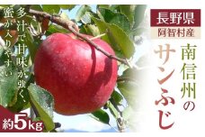 【令和7年12月上旬～順次発送】南信州 阿智村 りんご「サンふじ」約5kg｜  果物 フルーツ 林檎 リンゴ 信州 長野