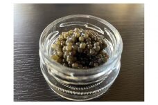 南信州キャビア「天女のほほ笑み」15g