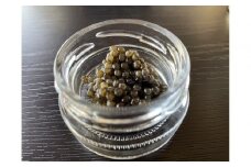 南信州キャビア「天女のほほ笑み」8g