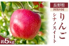 【令和7年10月中旬～順次発送】南信州阿智村　りんご（シナノスイート）約5kg｜  果物 フルーツ 林檎 リンゴ 信州 長野