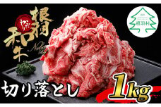 数量限定★根羽こだわり和牛 切り落とし 1kg 250g×4 小分け包装 黒毛和牛