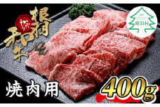 根羽こだわり和牛 焼肉用 400g バラ肉 モモ肉 盛り合わせ 10000円　国産黒毛和牛 ブランド牛 国産牛 パーティー 