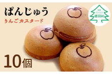 もちもち食感の饅頭！ぱんじゅう リンゴカスタード味 10個入り 5000円 りんご スイーツ アップル カスタードクリーム 饅頭 茶菓子 お茶菓子 和菓子 