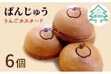カフェタイムにぴったり！お茶にも紅茶にもよく合うスイーツ　ぱんじゅう リンゴカスタード味 6個入り 4000円 饅頭 りんご カスタードクリーム 和菓子 お茶菓子 茶菓子