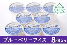 季節限定★田舎生まれの素朴な優しい味 ブルーベリーアイス 8個入り アイスクリーム 5000円