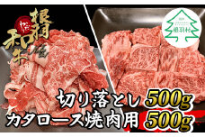 大人気につき8月発送★根羽こだわり和牛 切り落とし500g＆カタロース焼肉用500g 小分け 切り落とし 焼肉 13,000円