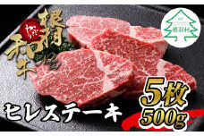 柔らかくておいしいと大好評！黒毛和牛 ヒレステーキ 5枚 500g ( 100g×5) 根羽こだわり和牛 霜降り ステーキ 希少部位  35000円