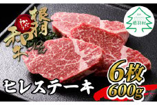黒毛和牛 ヒレステーキ 6枚 600g ( 100g×6) 根羽こだわり和牛 ステーキ ヒレ 霜降り 赤身 牛肉 牛 国産黒毛和牛40000円