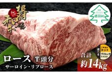 根羽こだわり和牛 黒毛和牛 ロースブロック 半頭分 約14kg サーロイン リブロース ブロック肉　塊肉 塊 牛肉 国産牛 お祝い パーティ ステーキ 焼肉 BBQ 霜降り すき焼き しゃぶしゃぶ 大人数