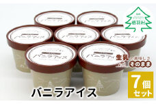 濃厚だけど軽い口どけ★マダガスカル産バニラビーンズ香る！バニラアイスクリーム 7個入り アイスクリーム 5000円 バニラアイス 定番 
