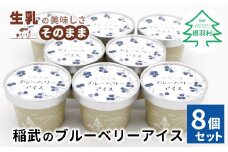 NEW★農薬・除草剤不使用！皮ごと使用！30品種をブレンドした ブルーベリー アイス(80ml)×8個入り