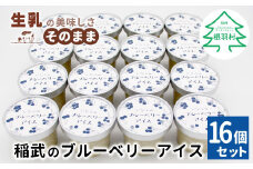 NEW★農薬・除草剤不使用！皮ごと使用！30品種をブレンドした ブルーベリー アイス(80ml)×16個入り