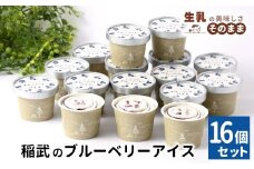 農薬・除草剤不使用！皮ごと使用！30品種をブレンドした ブルーベリー アイス(80ml)×16個入り