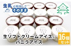 ミルク感たっぷりと大好評！食べ比べ★生ソフトクリームアイス＆バニラアイスクリーム 16個セット 10000円　アイスクリーム　アイス 　バニラ　生乳　牛乳　ミルク
