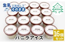 マダガスカル産バニラビーンズ香る！バニラアイスクリーム 16個入り アイスクリーム 10000円　アイス バニラ デザート スイーツ