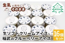 厳選された素材でつくった★生ソフトクリーム＆いなぶのブルーベリーアイス (80ml)×16個セット 10000円
