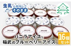 マダガスカル産バニラビーンズ香る！バニラアイスクリーム＆いなぶのブルーベリーアイス (80ml)×16個セット バニラアイス ブルーベリーアイス バニラ 生乳 ミルク 10000円