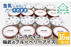 マダガスカル産バニラビーンズ香る！バニラアイスクリーム＆いなぶのブルーベリーアイス (80ml)×16個セット バニラアイス ブルーベリーアイス バニラ 生乳 ミルク 10000円