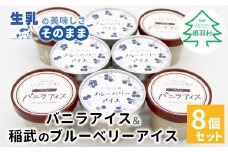 マダガスカル産バニラビーンズ香る！バニラアイスクリーム＆いなぶのブルーベリーアイス (80ml)×8個セット バニラ アイスクリーム ブルーベリー バニラアイス 生乳 5000円