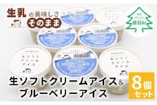 搾りたて生乳使用！ ミルク感たっぷりの生ソフトクリームアイス＆ブルーベリーアイス 8個セット 5000円　アイスクリーム　ソフトクリーム　ブルーベリー　スイーツ　アイス