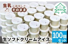 イベントやパーティにも◎生ソフトクリームアイス100個 80ml 60000円　アイスクリーム ソフトクリーム アイス イベント お祝い デザート 大人数 パーティー 結婚式 クリスマス