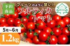 3人に1人がリピータ！数量限定❁先行予約品※2025年5月～6月発送フルーツのように甘い フルティカトマト 1.2kg 令和7年度産 ※予約商品※割れ保障付 5000円