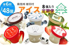 新フレーバー入り！全6回★全種類のアイスが届く！アイス定期便☆ 南信州根羽村産アイス が毎月8個届く！ 合計48個 アイスクリーム ソフトクリーム バニラ 西尾 いちご 紅ほっぺ いちご りんご ブルーベリー 抹茶 ミルク 30000円 30,000円