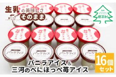 バニラアイスクリーム＆べにほっぺ苺アイス 16個セット10000円　バニラアイスクリーム　紅ほっぺ　いちご　アイスクリーム　ソフトクリーム　スイーツ　デザート アイス