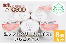 人気NO.1★生ソフトクリームアイス＆いちごアイス 8個入り 5000円　生ソフトクリームアイス　いちご　ストロベリー　アイスクリーム　ミルク　ソフトクリーム