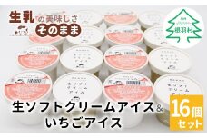 大人気！ミルクの味が濃厚★生ソフトクリームアイス＆いちごアイス 16個入り 10000円 アイスクリーム　アイス 苺 いちご ソフトクリーム アイス